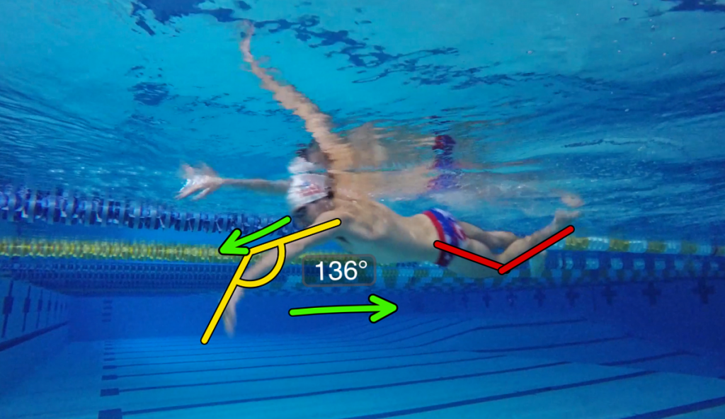 swim analysis myswimpro